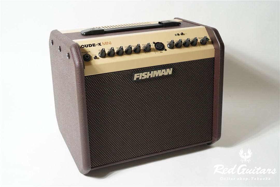 FISHMAN Loudbox Mini Bluetooth Amplifier | Red Guitars Online Store